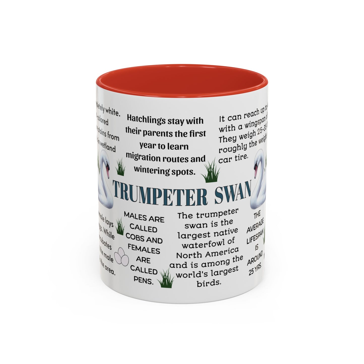 Trumpeter Swan Coffee Mug, 11 oz or 15oz