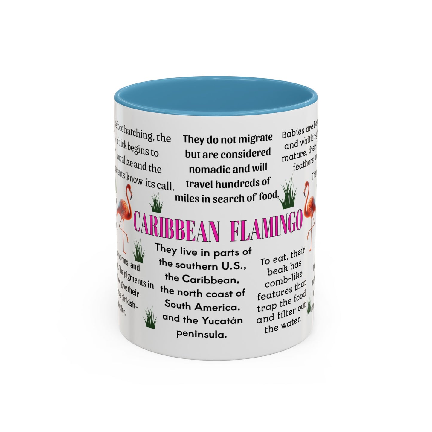 Caribbean Flamingo Coffee Mug, 11 oz or 15oz